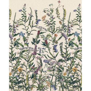 Komar fotobehang - Flowering Herbs - multicolor - 200 x 250 cm - 611618 product