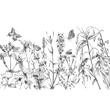 Komar fotobehang - Butterfly Field - zwart wit - 400 x 250 cm - 610031 product
