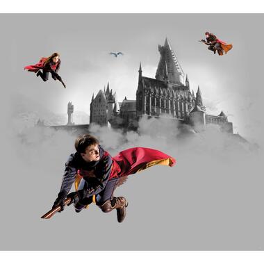 Sanders & Sanders fotobehang - Harry Potter Zweintstein - grijs en rood product