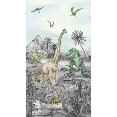 Sanders & Sanders fotobehang - dinosaurussen - groen - 1,5 x 2,7 m - 601224 product