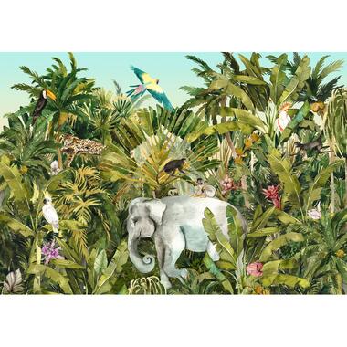 Komar fotobehang - Jungle Expedition - groen - 400 x 280 cm - 610861 product