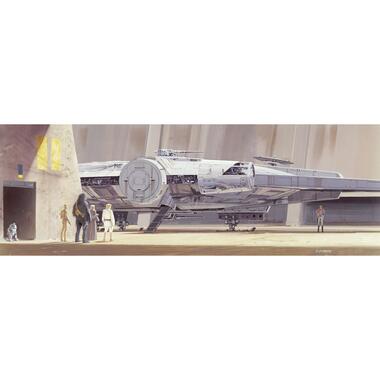 Komar fotobehang - STAR WARS Classic RMQ MilleniumFalcon - grijs - 368 x 127 cm product