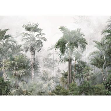 Sanders & Sanders fotobehang - tropisch landschap met palmbomen product