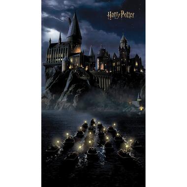 Sanders & Sanders fotobehang - Harry Potter Zweintstein - zwart en donkerblauw product