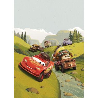 Komar fotobehang - Cars - groen - 200 x 280 cm - 610742 product