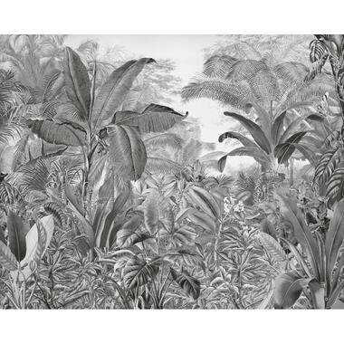 Komar fotobehang - jungle-motief - zwart wit - 350 x 280 cm - 610854 product