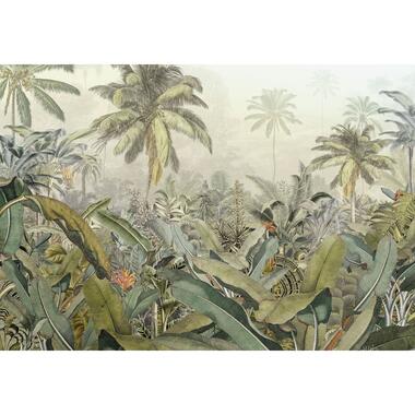 Komar fotobehang - Amazonia - groen - 368 x 248 cm - 611140 product