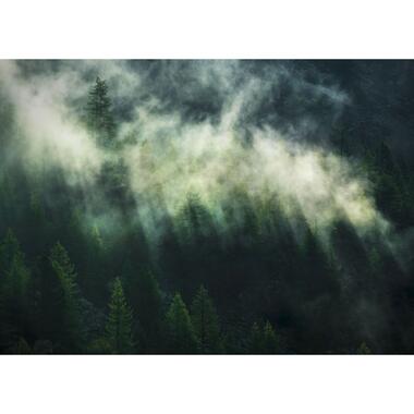 Komar fotobehang - Misty Crowns - donkergroen - 350 x 250 cm - 611632 product