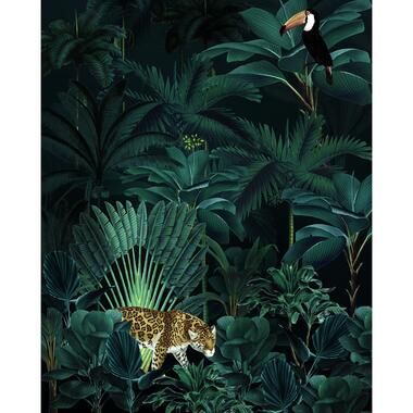 Komar fotobehang - Jungle Night - groen - 200 x 250 cm - 611626 product