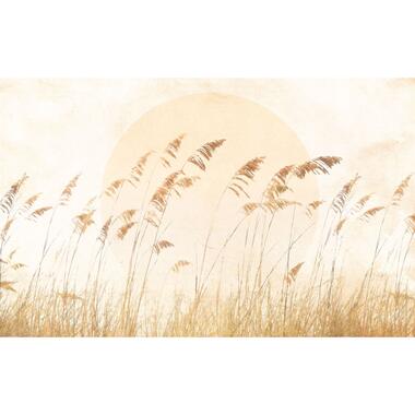 Komar fotobehang - Dune Grass - zand beige - 400 x 250 cm - 611233 product