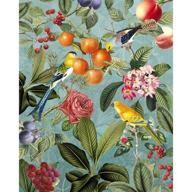 Komar fotobehang - Birds and Berries - multicolor - 200 x 250 cm - 611181 product