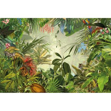 Komar fotobehang - Into the Wild - jungle groen - 368 x 248 cm - 611128 product