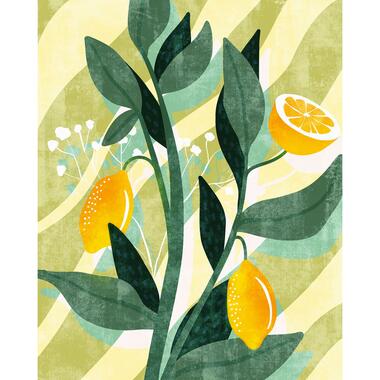 Komar fotobehang - Lemon Fresh - groen en geel - 200 x 250 cm - 611178 product