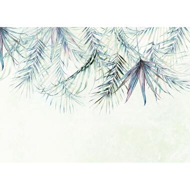 Komar fotobehang - Palm Spring - blauw en groen - 350 x 250 cm - 610027 product