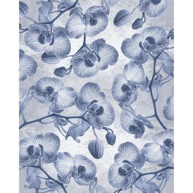 Komar fotobehang - Orchidée - blauw - 200 x 250 cm - 611185 product