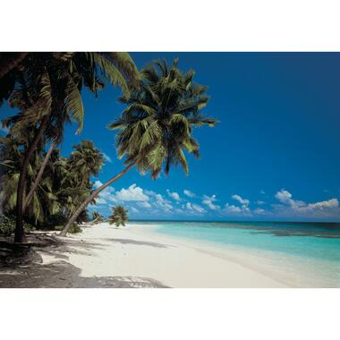 Komar fotobehang - Maldives - blauw en groen - 368 x 270 cm - 610937 product