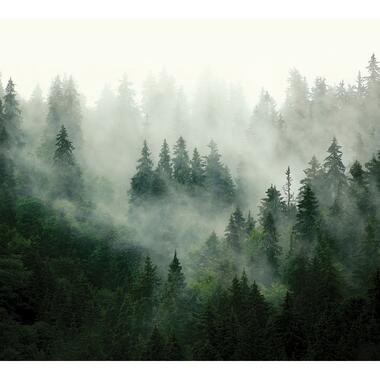 Sanders & Sanders fotobehang - berglandschap met bomen - groen - 3 x 2,7 m product