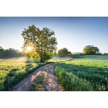 Komar fotobehang - Fototapete Meadow Trail - groen en blauw - 368 x 254 cm product