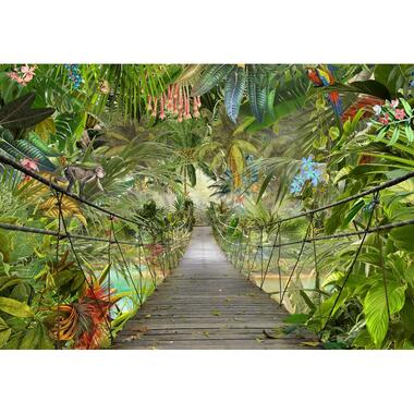 Komar fotobehang - Wild Bridge - groen - 368 x 254 cm - 611042 product