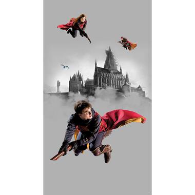 Sanders & Sanders fotobehang - Harry Potter Zweintstein - grijs en rood product