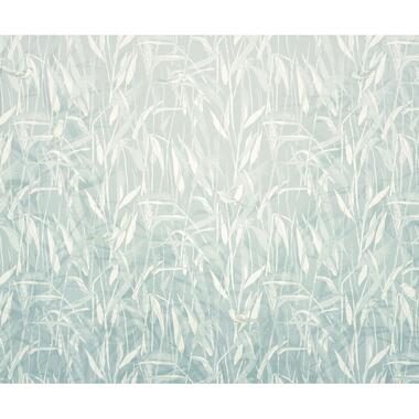 Komar fotobehang - Reed - blauw - 300 x 250 cm - 611200 product