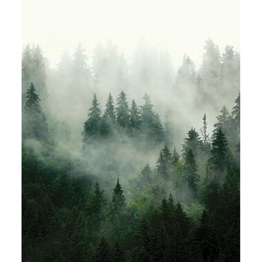 Sanders & Sanders fotobehang - berglandschap met bomen - groen - 2,25 x 2,7 m product