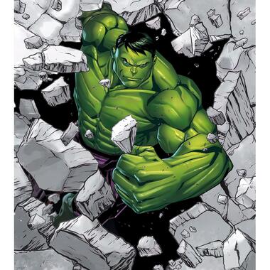 Komar fotobehang - Hulk Breaker - groen en grijs - 250 x 280 cm - 610772 product