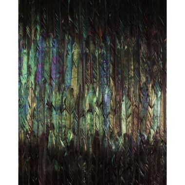 Komar fotobehang - Dark Wings - multicolor - 200 x 250 cm - 610005 product