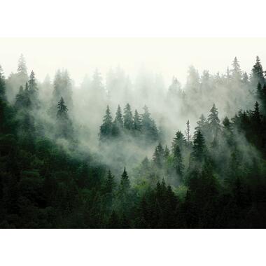 Sanders & Sanders fotobehang - berglandschap met bomen - groen - 2.7 x 3.75 m product