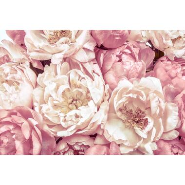 Komar fotobehang - Peonies - roze - 368 x 248 cm - 611145 product