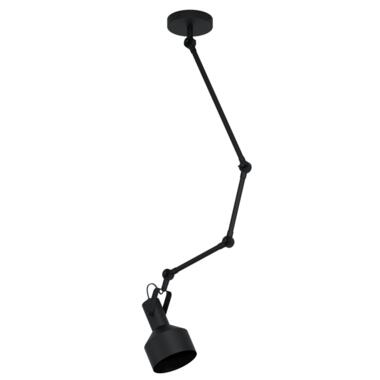 EGLO Takeley Plafondlamp - E27 - Ø 15 cm - Zwart product