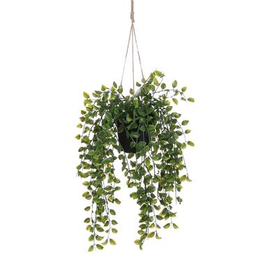 Mica Decorations Ficus Kunst Hangplant in Pot - H46 x Ø20 cm - Groen product