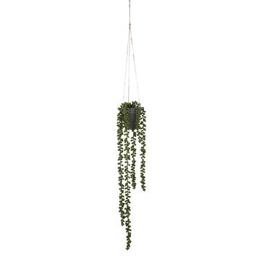 Mica Decorations Senecio Kunst Hangplant - H56 x Ø9 cm - Groen product