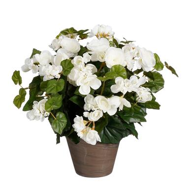 Mica Decorations Begonia Kunstplant - H37 x Ø36 cm - Wit product