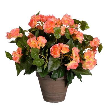 Mica Decorations Begonia Kunstplant - H37 x Ø36 cm - Zalmroze product