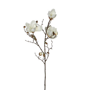 Mica Decorations Magnolia Kunstbloem - H88 cm - Wit product