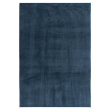 Dutch Lifestyle - Polyester - Vloerkleed - 160x230 cm - Blauw product