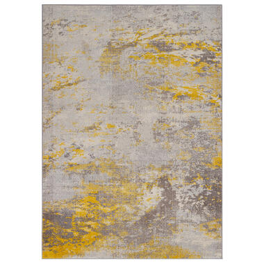 Dutch Lifestyle - Polypropyleen - Vloerkleed - 160 x 230cm - Multikleur product