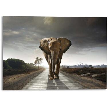 Schilderij Wandelende olifant 100x140 cm Bruin Hout product