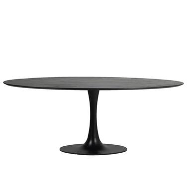 Eettafel Ovaal 200cm - Zwart - O-Poot - Tafel Ziggy product