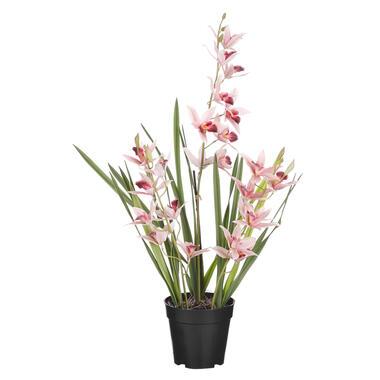 Mica Decorations Orchidee bloem kunstplant - perzik roze - H66 x B34 cm product