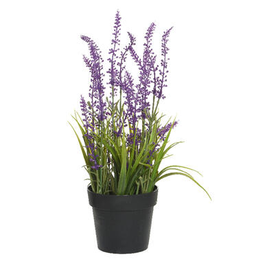Everlands Lavendel kunstplant - in pot - fuchsia - D15 x H30 cm product
