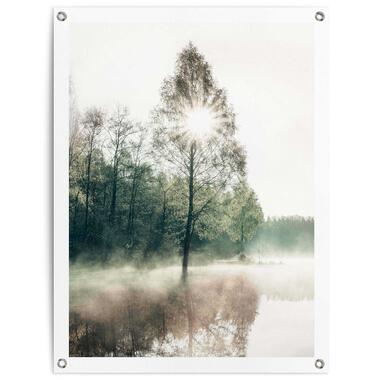 Tuinposter - Zon door de bomen - 80x60 cm product