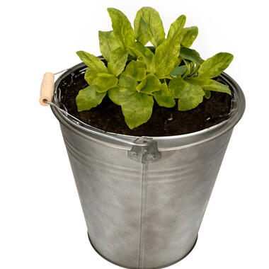 Mega Collections Emmer/plantenpot - zink - donkergrijs - D28 x H27 cm product