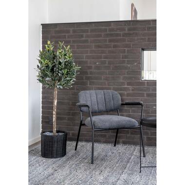 House Nordic Kunstplant Olijf Boom 120cm product