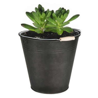 Mega Collections Emmer/Plantenpot - zink - zwart - D30 x H29 cm product