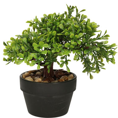 H&S Collection Kunstplant Bonsai boompje in pot - Japans deco - 19 cm product