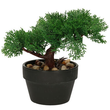 H&S Collection Kunstplant Bonsai boompje in pot - Japans deco - 19 cm product