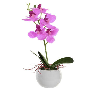 Items Kunstplant Orchidee - roze bloemen en witte pot - H26 cm product