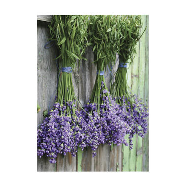 Art for the Home - Buitencanvas - Lavendel - 70x50cm product